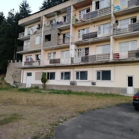 Панорама вид на горы Боржоми Экстерьер фото
