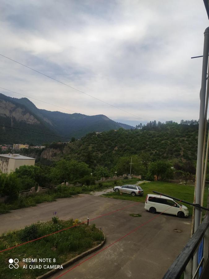 Панорама вид на горы Боржоми Экстерьер фото