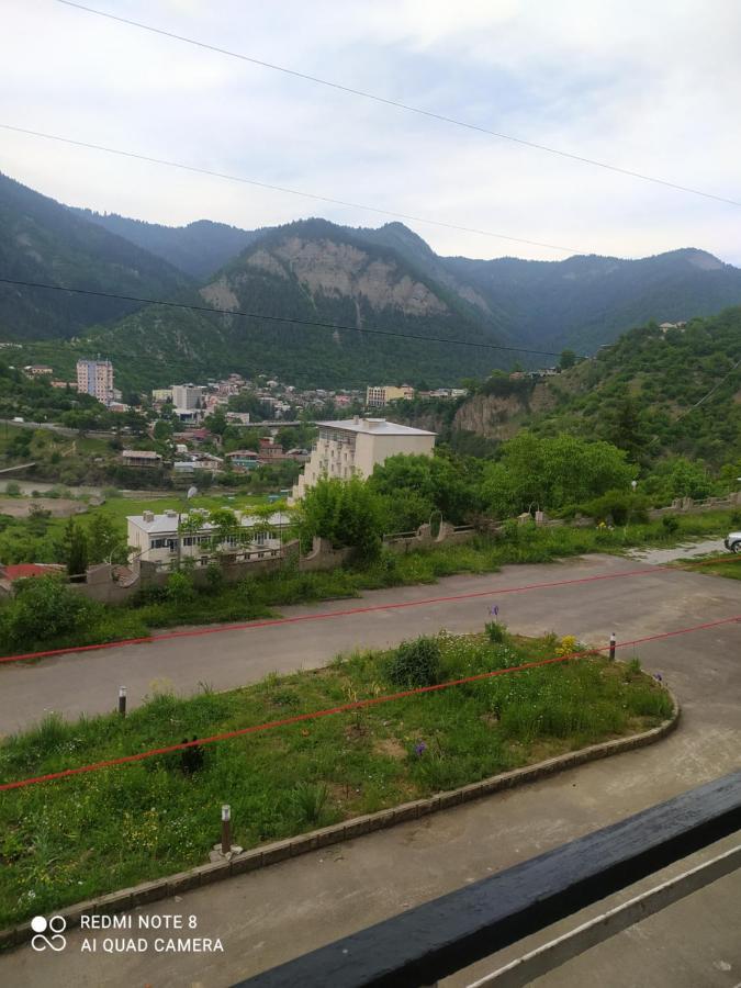 Панорама вид на горы Боржоми Экстерьер фото
