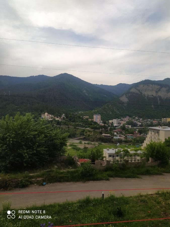Панорама вид на горы Боржоми Экстерьер фото