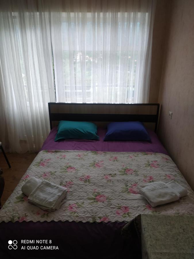 Панорама вид на горы Боржоми Экстерьер фото