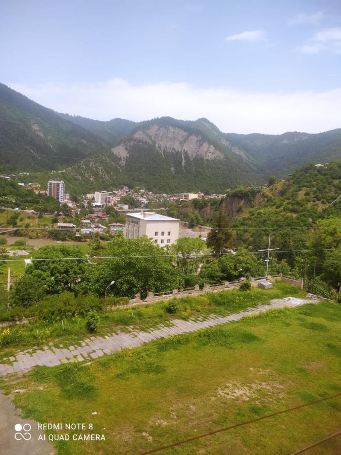Панорама вид на горы Боржоми Экстерьер фото
