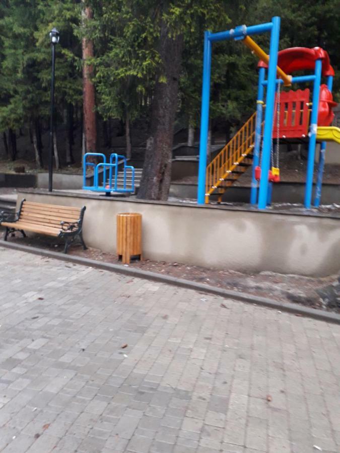 Панорама вид на горы Боржоми Экстерьер фото