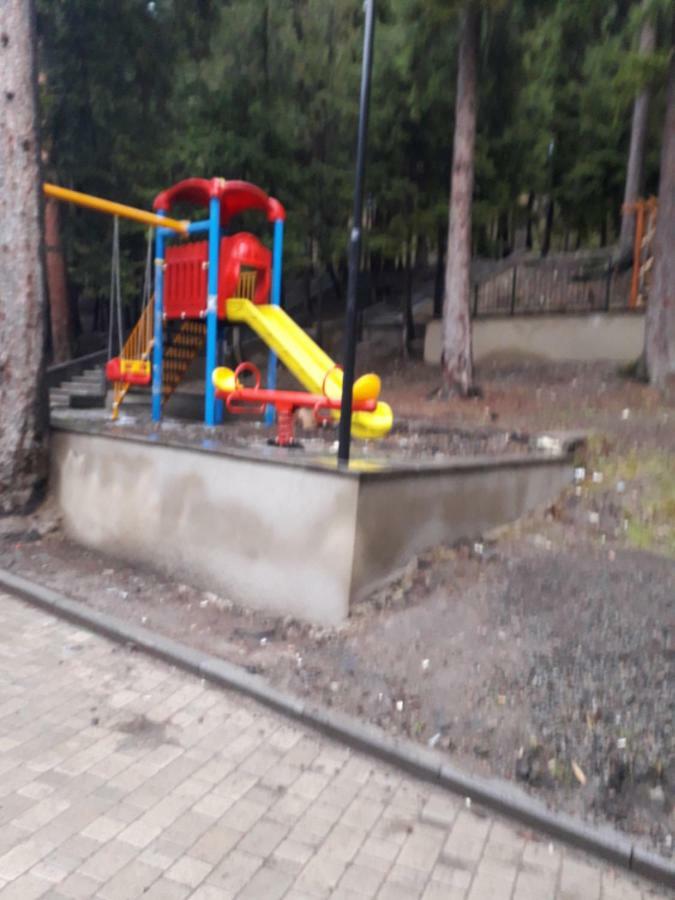 Панорама вид на горы Боржоми Экстерьер фото