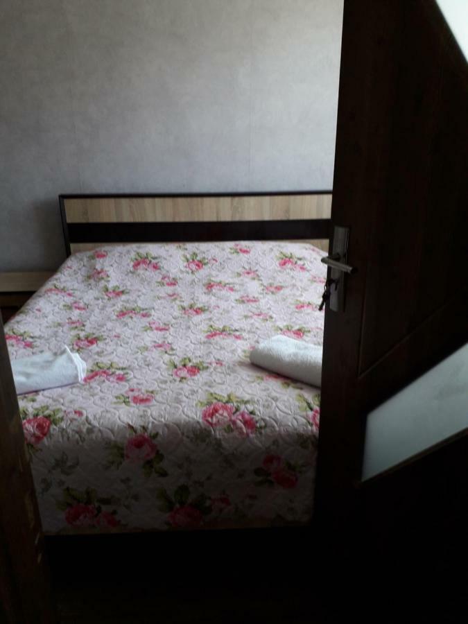 Панорама вид на горы Боржоми Экстерьер фото