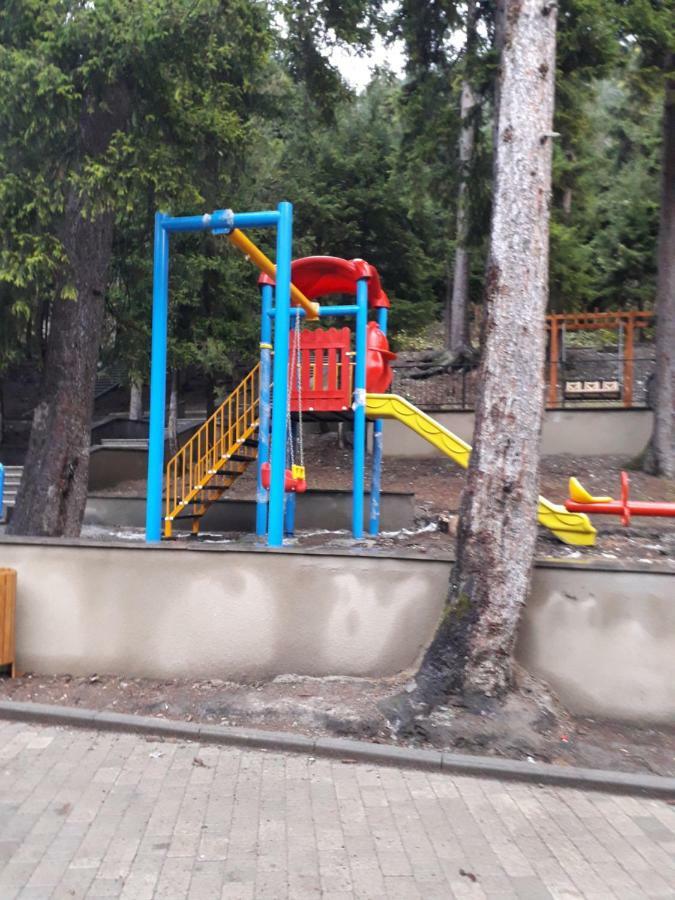 Панорама вид на горы Боржоми Экстерьер фото