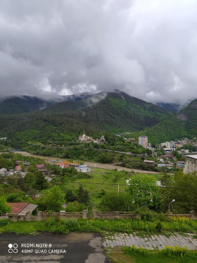 Панорама вид на горы Боржоми Экстерьер фото